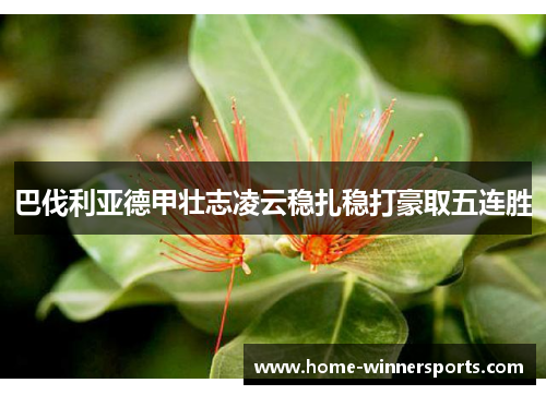 巴伐利亚德甲壮志凌云稳扎稳打豪取五连胜